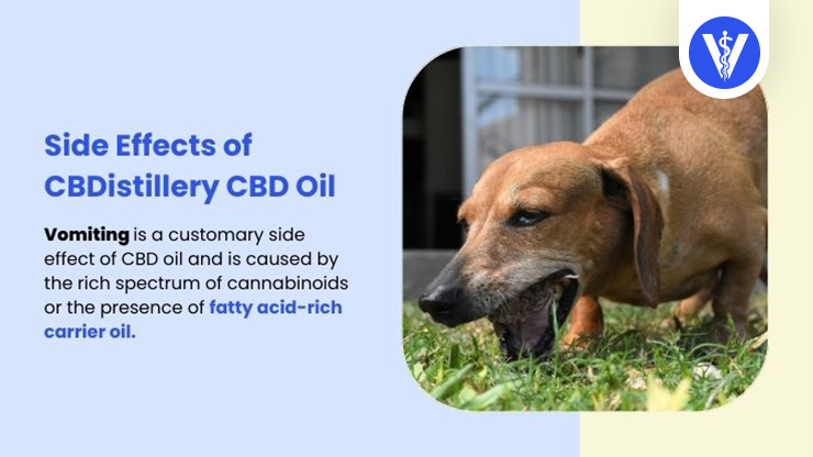 CBDistillery CBD Oil Side Effects Vomiting