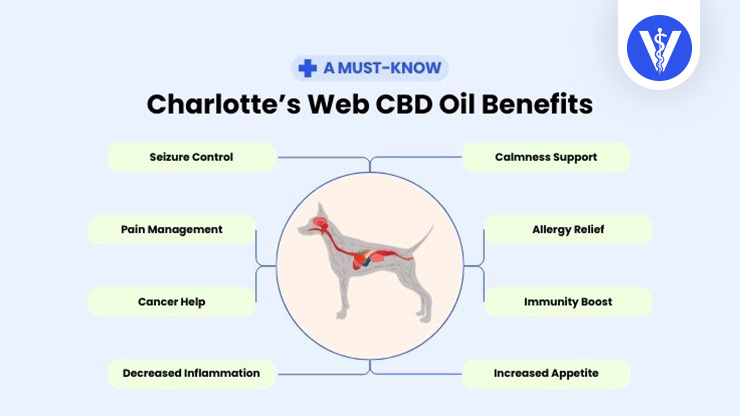 Charlotte’s Web CBD Benefits