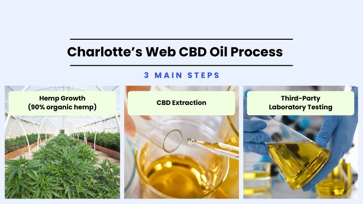 Charlotte’s Web CBD Process