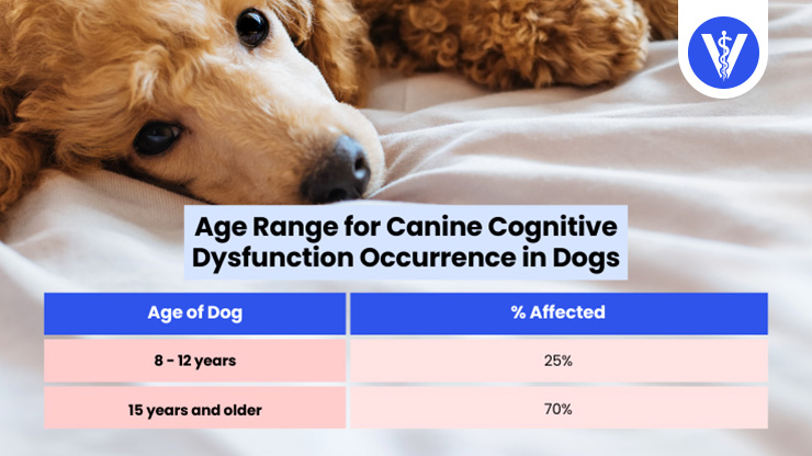 Canine Cognitive Disorder Age