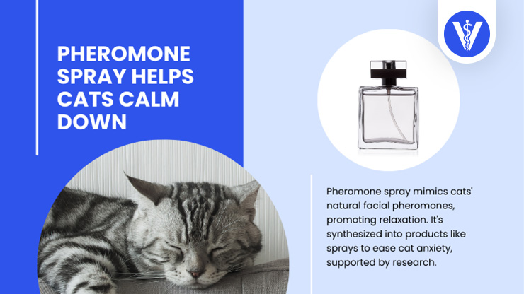 Cat Anxiety Pheromone Spray