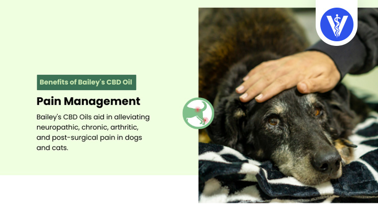 Bailey's CBD Oil Benefits Pain Management