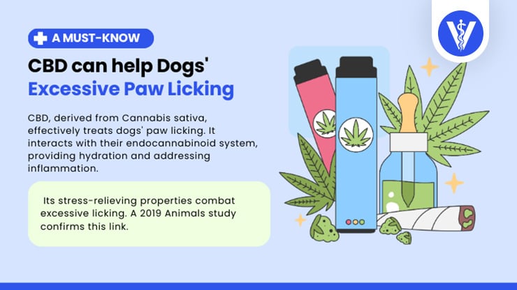 CBD Helps Dog Licking Paws