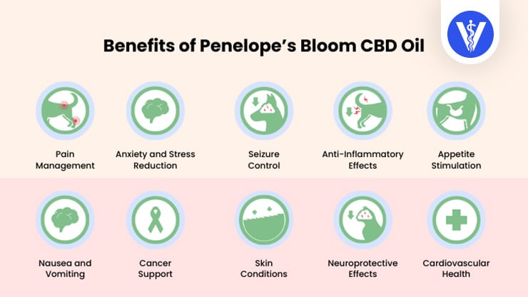 Penelope's Bloom CBD Benefits