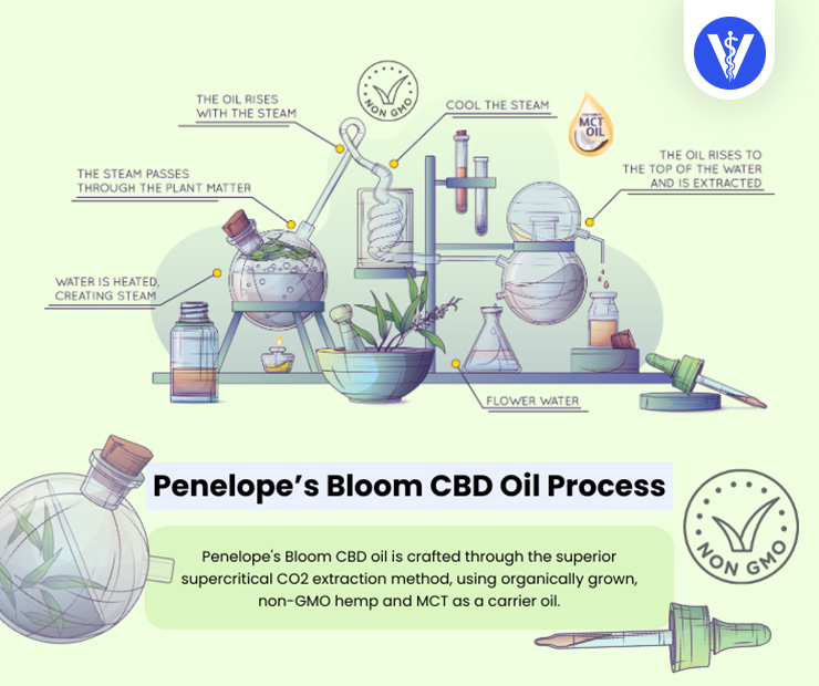 Penelope's Bloom CBD Process