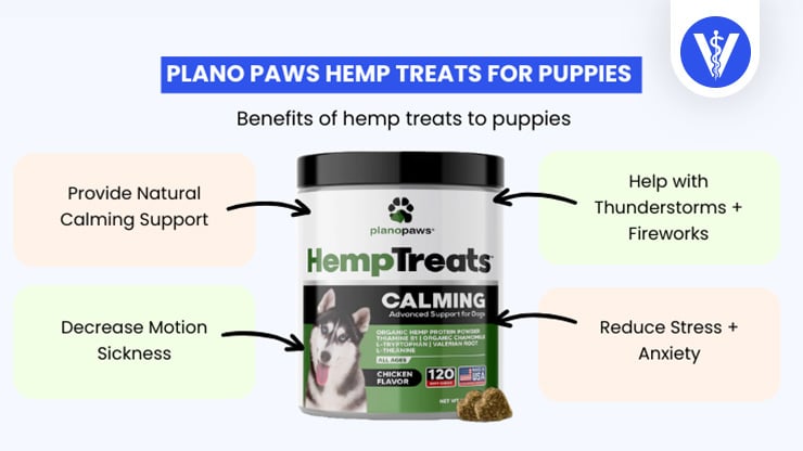 Plano Paws Hemp Treats Benefits Puppies