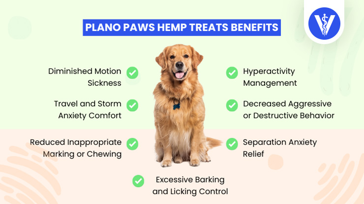 Plano Paws Hemp Treats Benefits