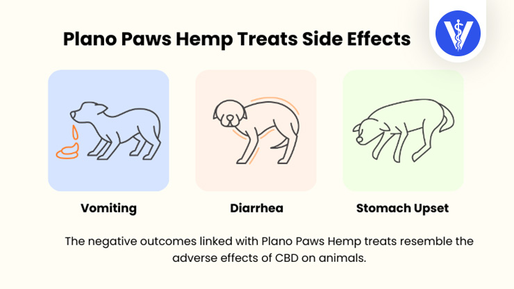 Plano Paws Hemp Treats Side Effects