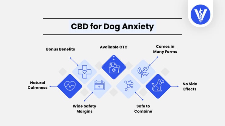 CBD For Dog Anxiety