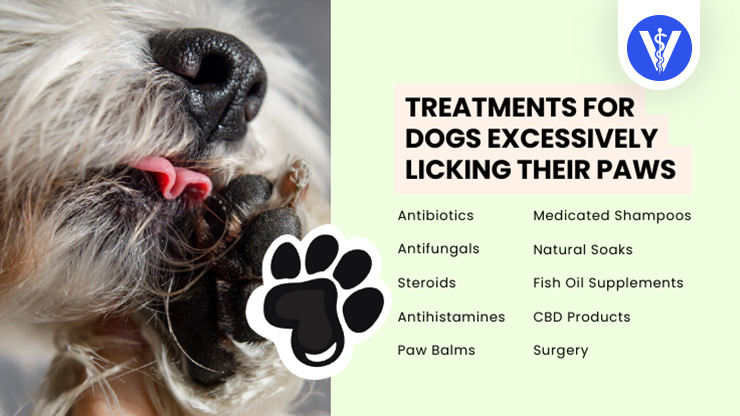 Dog Licking Paws Treatments