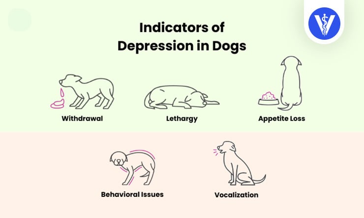 Depression in Dogs Signs