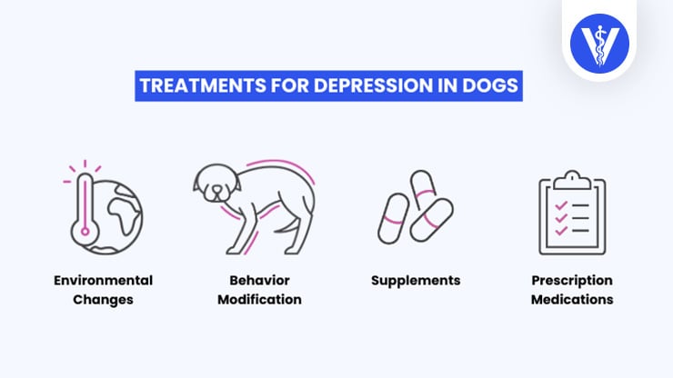 Treatments Depression in Dogs 