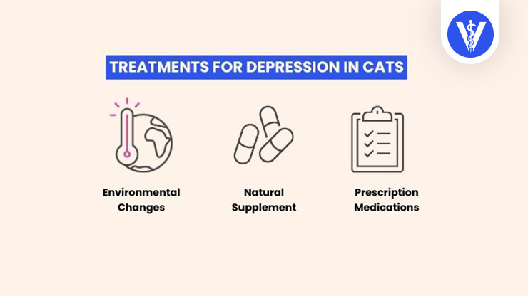 Cat Depression Treatments